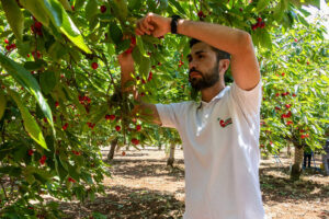la logistica vito tricarico